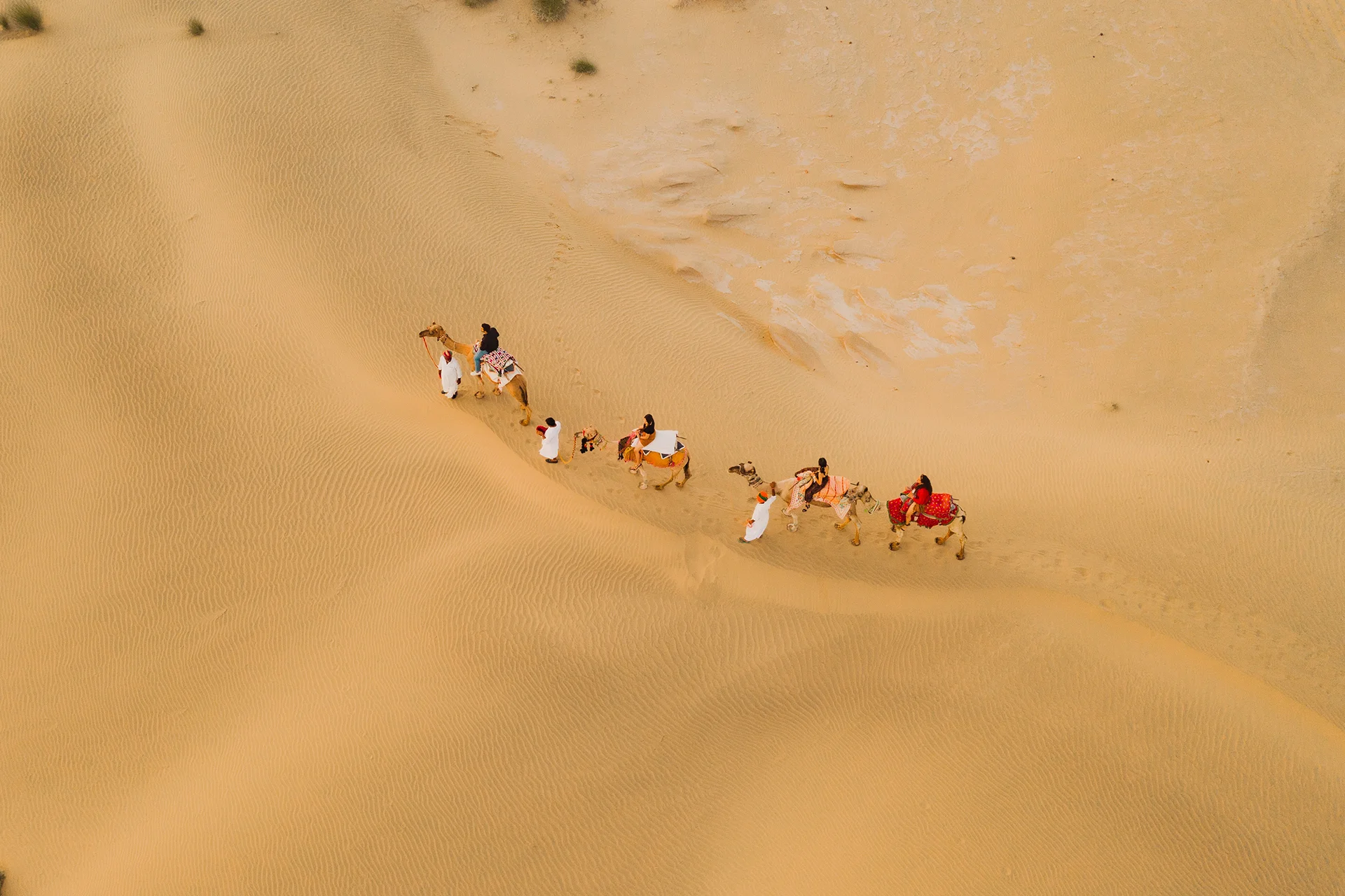 Camel Ride at Sunset/Sunrise