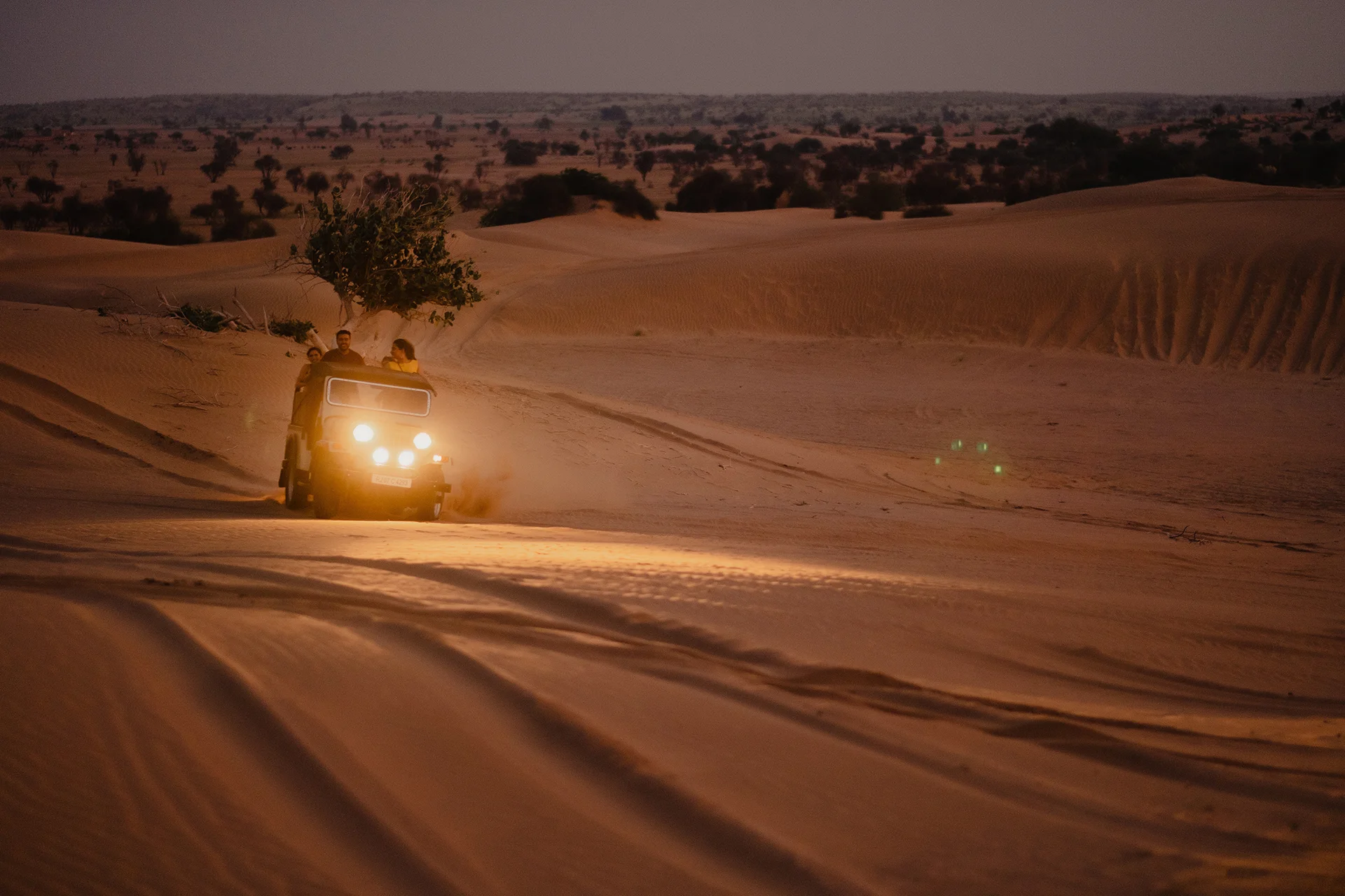 Night Jeep Safari with Star Gazing, Dune Dashing & Wildlife