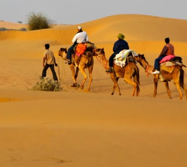 Camel safari in Jaisalmer