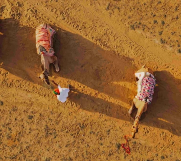 Camel ride on Khuri sand dunes