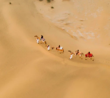 Sunset camel ride