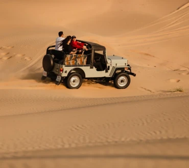 Night jeep safari